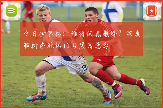 今日世界杯：谁将问鼎巅峰？深度解析夺冠热门与黑马悬念