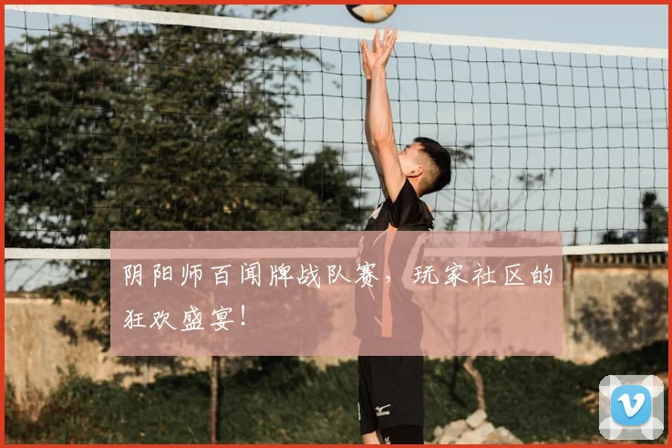 阴阳师百闻牌战队赛，玩家社区的狂欢盛宴！