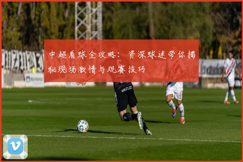 中超看球全攻略：资深球迷带你揭秘现场激情与观赛技巧